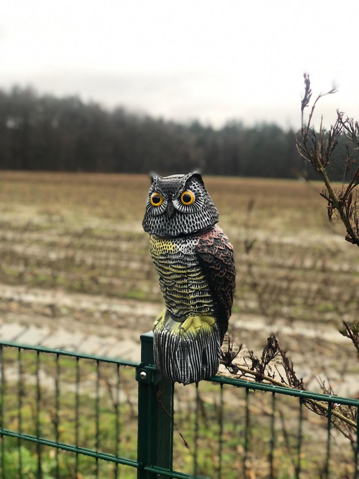 Schoene Auszeit Re14 Sogel Bagian luar foto
